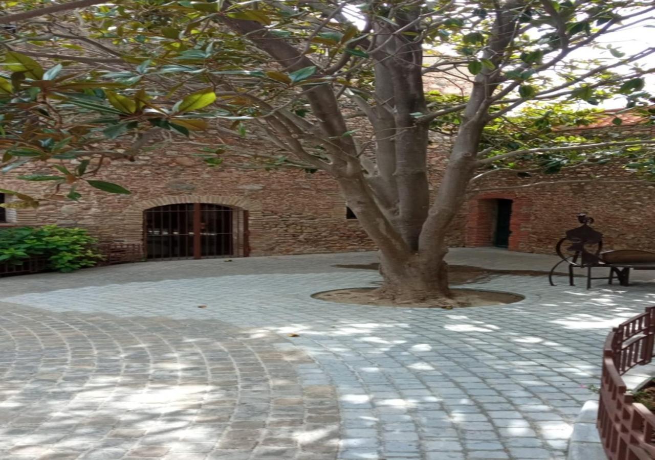 Villa Avec Plage A Pied Et Grande Piscine سانت ماري لا مير المظهر الخارجي الصورة